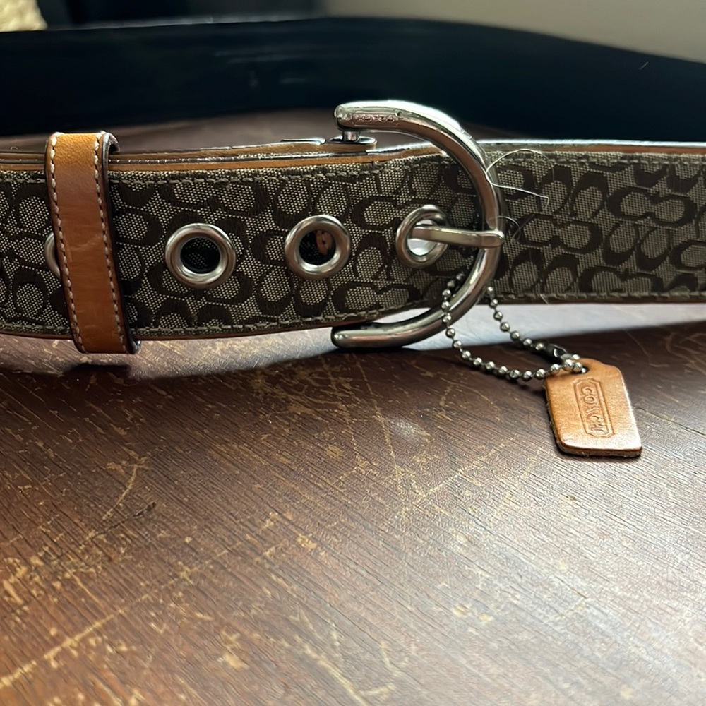 Coach Signature Belt